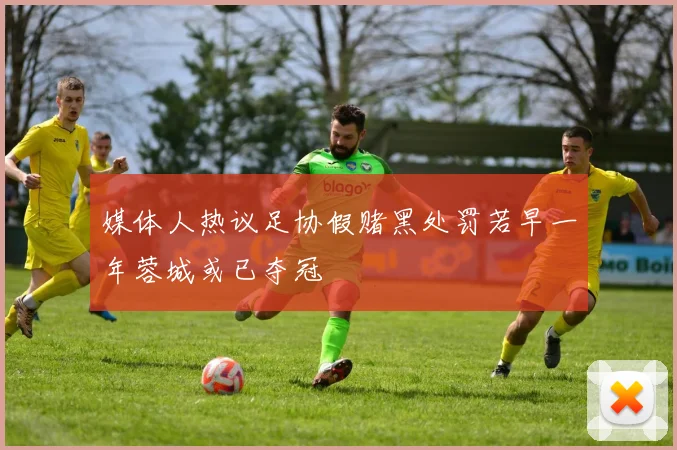 媒体人热议足协假赌黑处罚若早一年蓉城或已夺冠