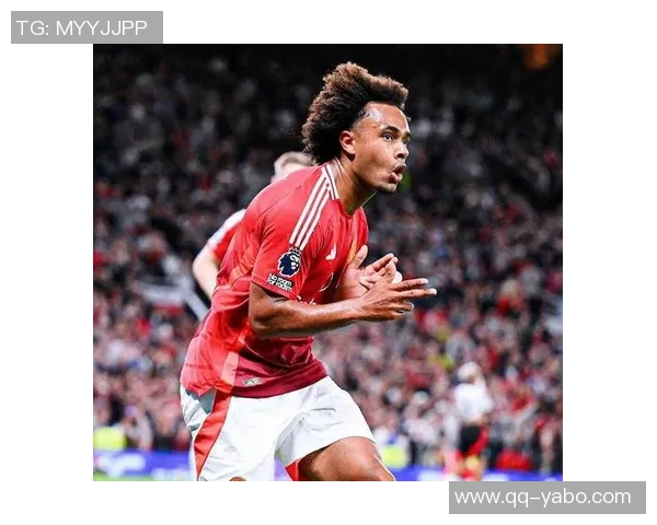 意媒报道囧叔希望引进强力中锋大菲尔莱万齐尔克泽成热门人选